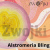 Zwojek DeLux - Alstromeria