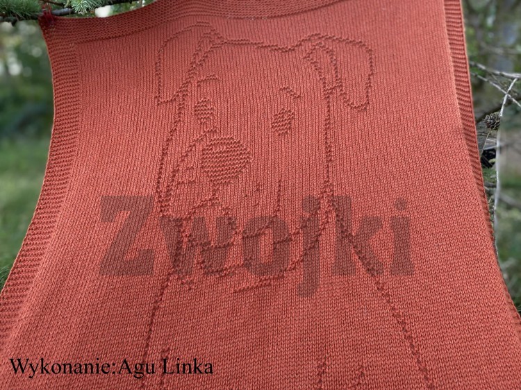 Wzór - Koc na cztery łapy - Kocyk dla maluszka