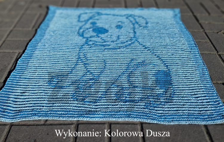 Wzór - Koc Zaczarowane Cztery Łapy - Kocyk dla maluszka