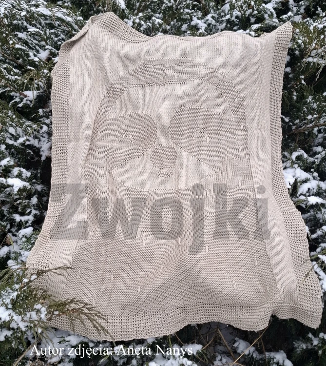 Autor zdjęcia: Aneta Nanys