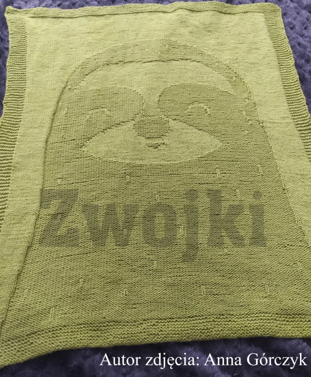 Autor zdjęcia: Anna Górczyk